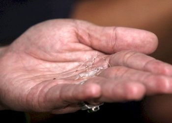 Penyelundupan Benih Lobster ke Singapura Berhasil Digagalkan