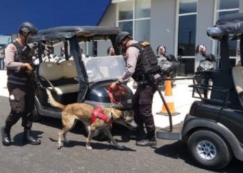28 Anjing K9 Jaga Sirkuit Mandalika: Lacak Bom, Narkoba Hingga Pencuri