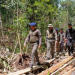 Hingga November 2021, Polda Riau Berhasil Ungkap 29 Kasus Illegal Logging dan Tangkap 41 Pelaku