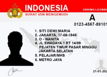 SIM Indonesia Diakui di ASEAN Mulai 1 Juni 2025