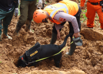 Tim K-9 Temukan Jenazah Bayi Tertimbun Tanah Longsor